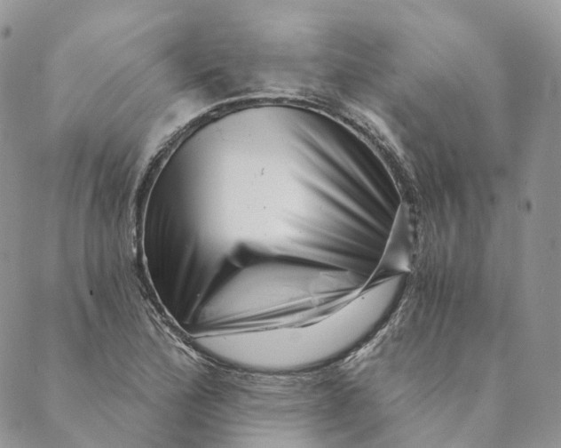 X0000088891172200706291432