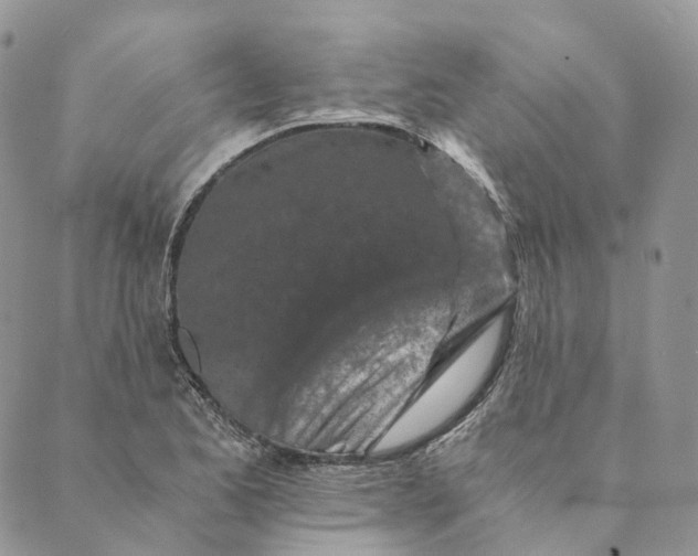 X0000088891173200706291432