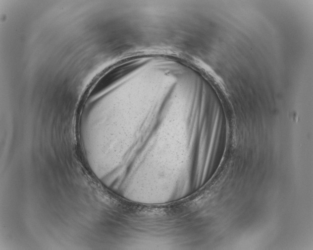 X0000088891174200706291432