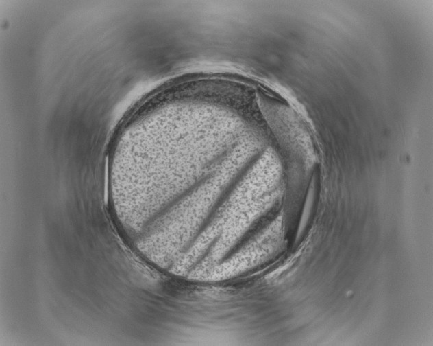 X0000088891175200706291432