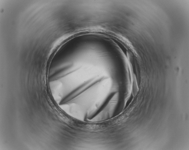 X0000088891176200706291432