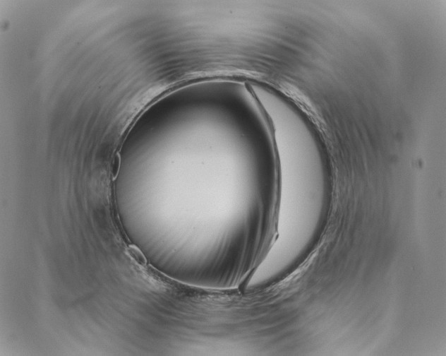 X0000088891177200706291432