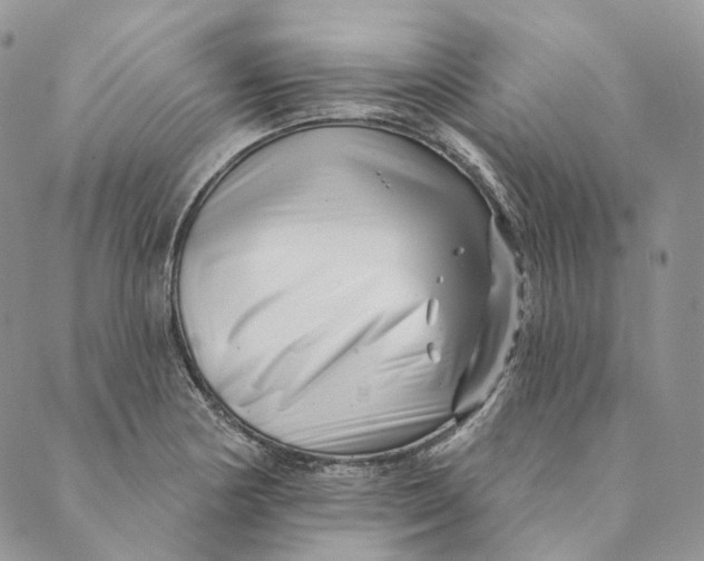 X0000088891178200706291432