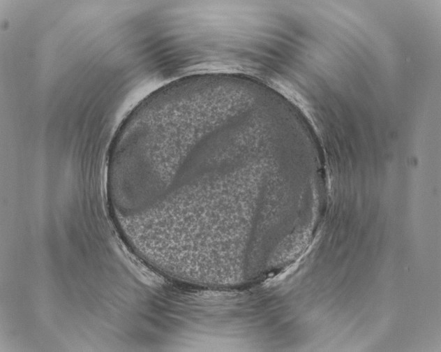 X0000088891179200706291432