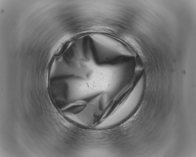 X0000088891180200706291432