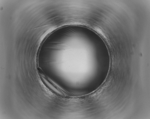 X0000088891181200706291432