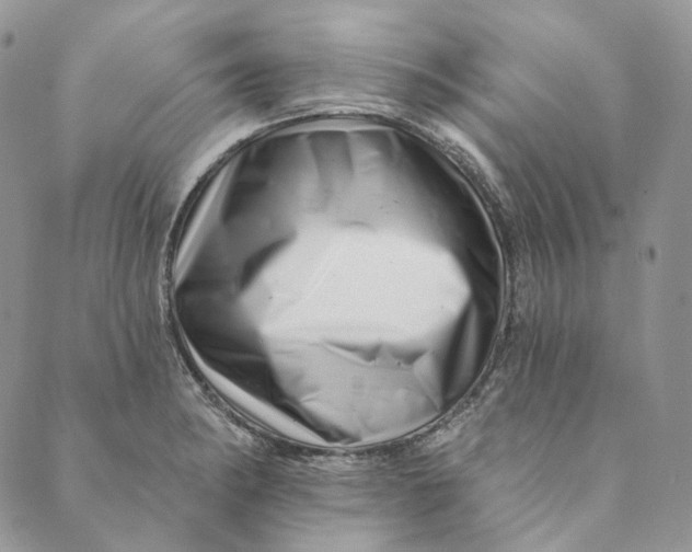 X0000088891182200706291432