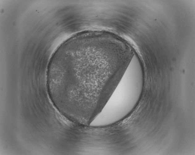 X0000088891183200706291432