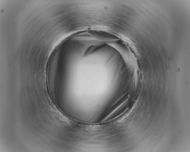 X0000088891184200706291432