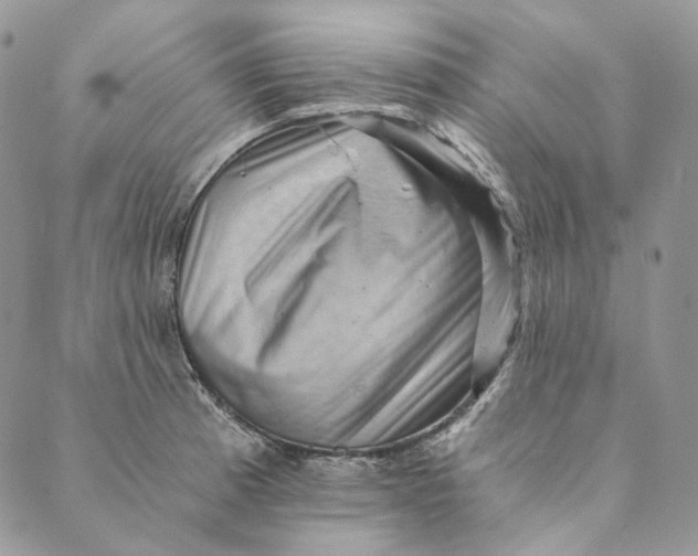 X0000088891185200706291432