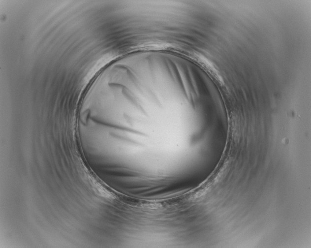 X0000088891186200706291432