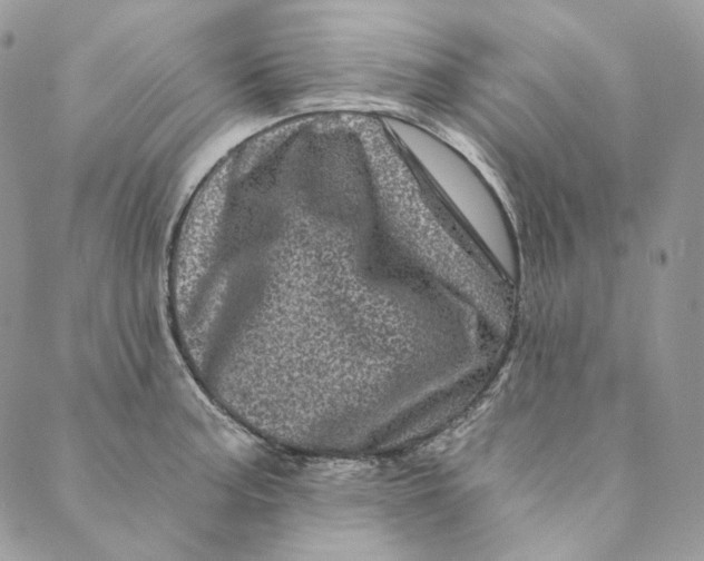 X0000088891187200706291432