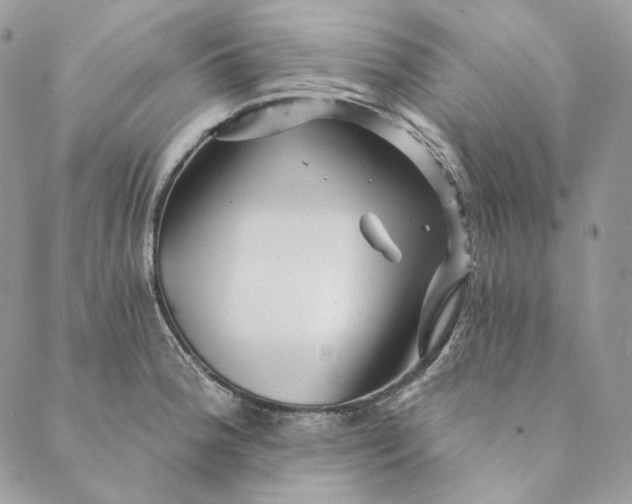 X0000088891188200706291432