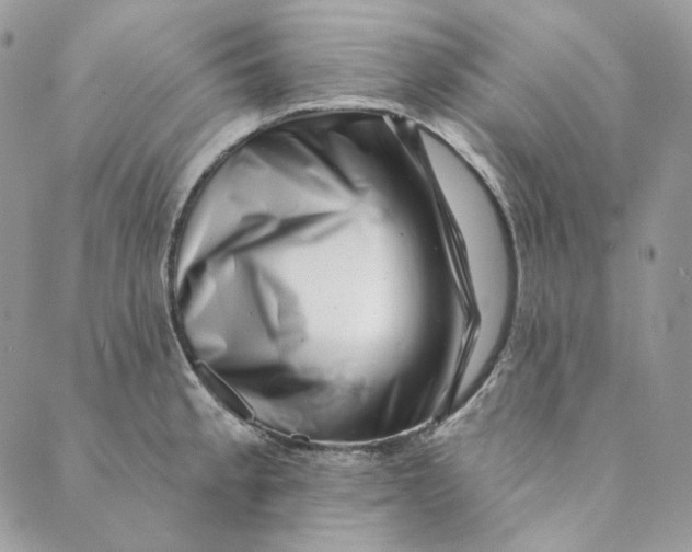 X0000088891189200706291432