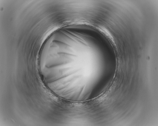 X0000088891190200706291432