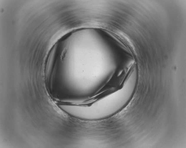 X0000088891192200706291432