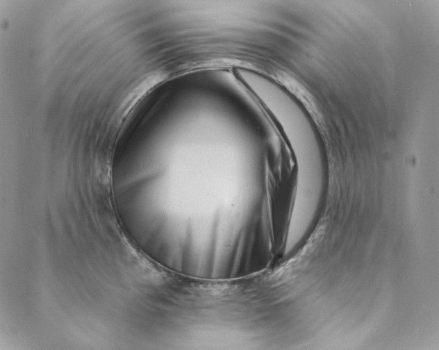 X0000088891193200706291432