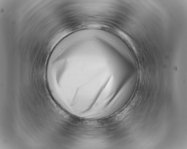 X0000088891194200706291432