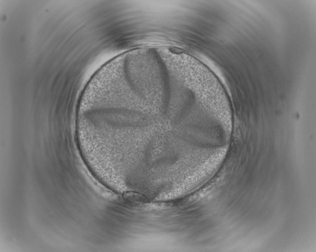 X0000088891195200706291432