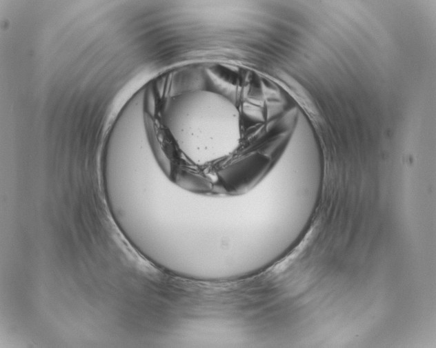 X0000088891196200706291432