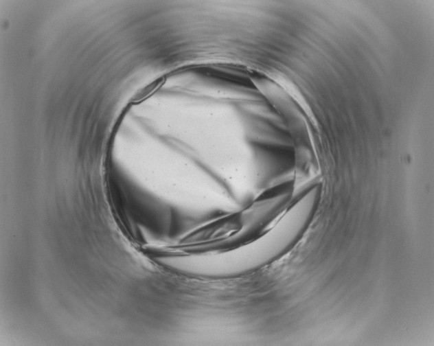 X0000088891197200706291432