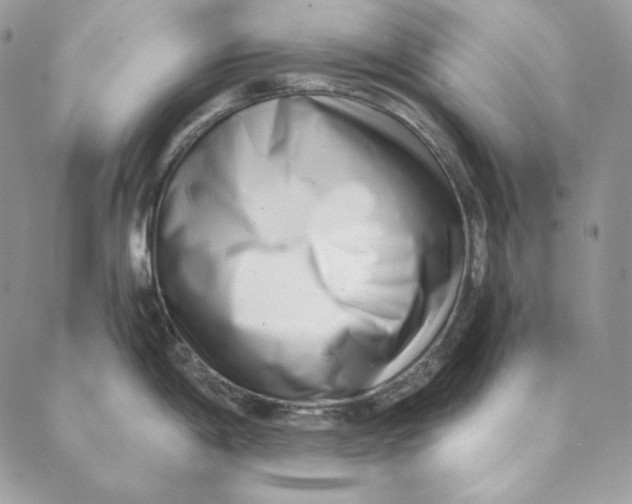 X0000088891198200706291432