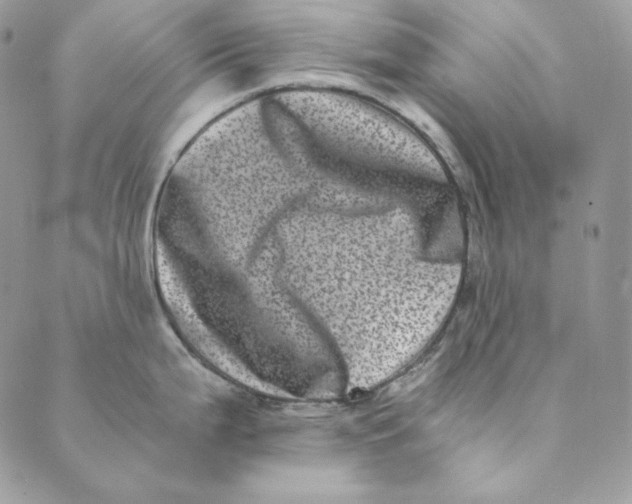 X0000088891199200706291432