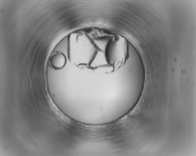 X0000088891200200706291432