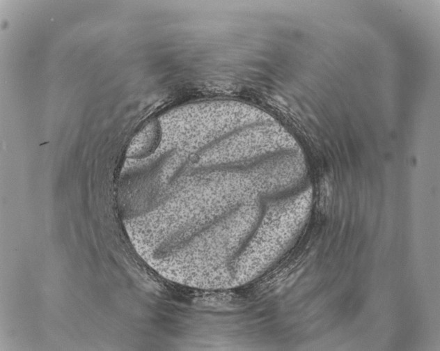 X0000088891201200706291431