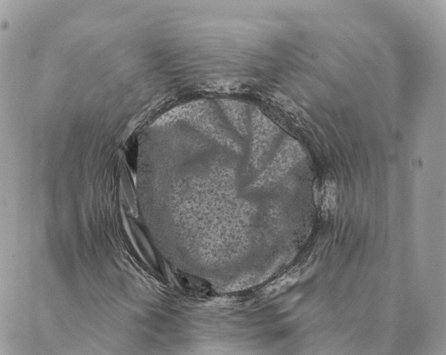 X0000088891202200706291431