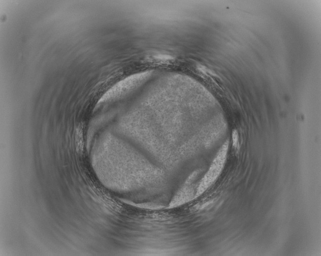 X0000088891203200706291431