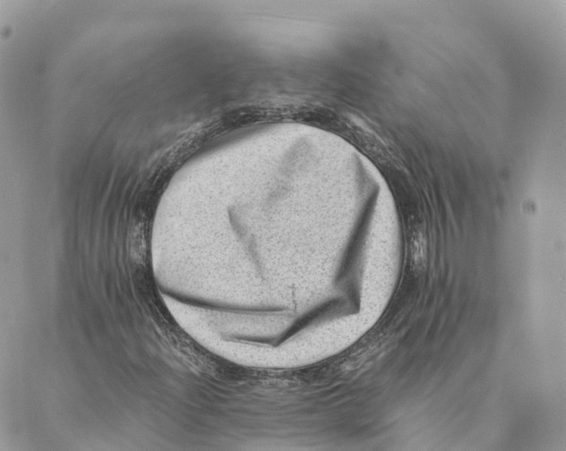 X0000088891204200706291431