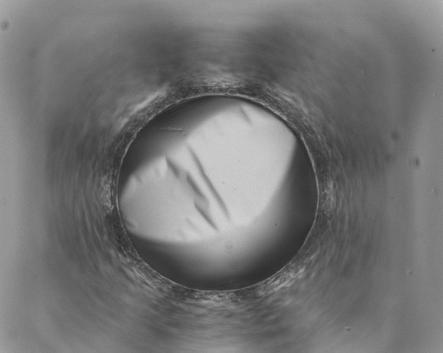 X0000088891205200706291431