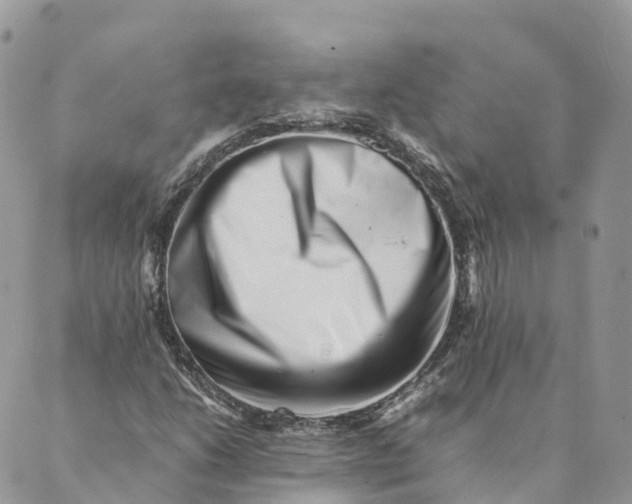 X0000088891206200706291431