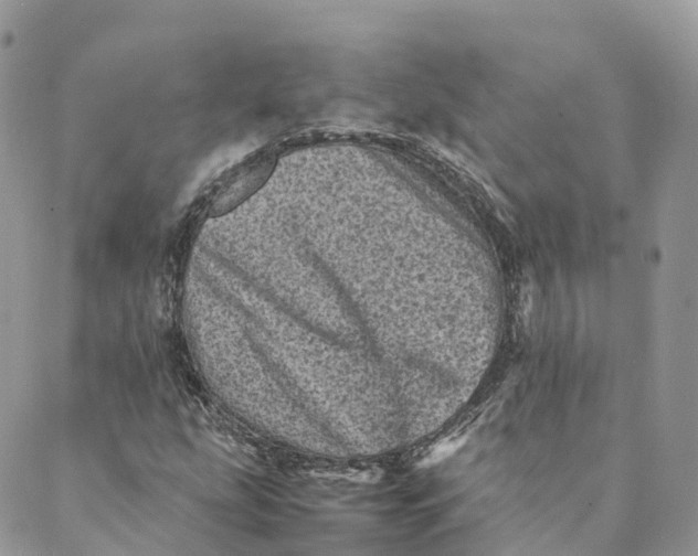 X0000088891207200706291431