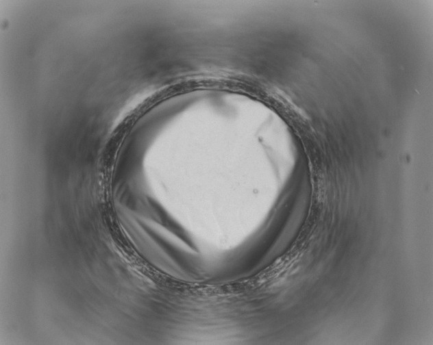 X0000088891208200706291431