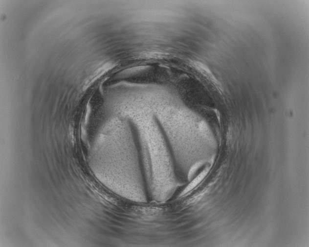 X0000088891209200706291431