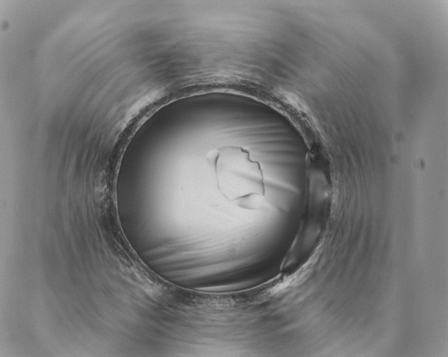 X0000088891210200706291431