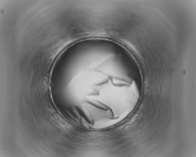 X0000088891212200706291431