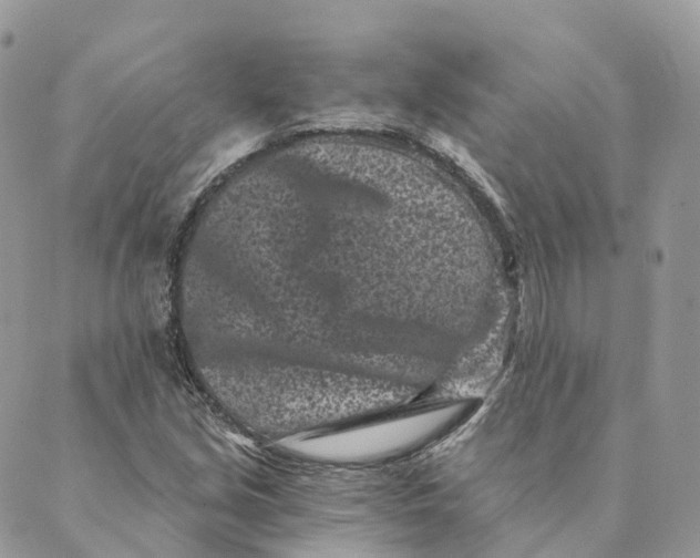 X0000088891213200706291431