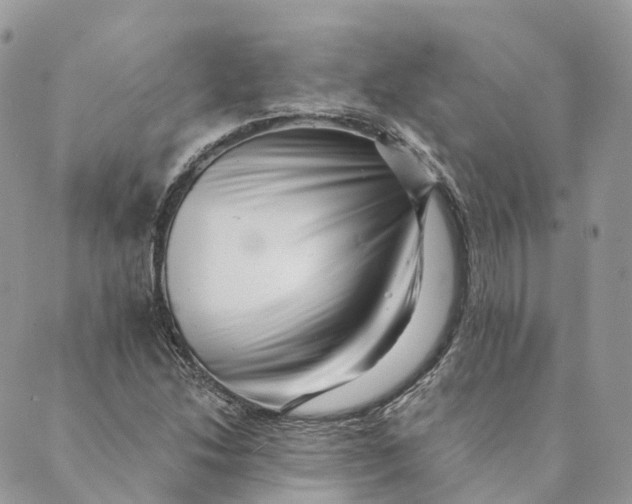 X0000088891214200706291431