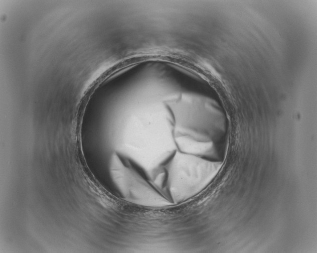 X0000088891216200706291431