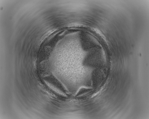 X0000088891217200706291431