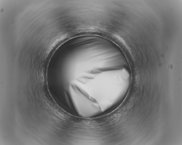 X0000088891218200706291431