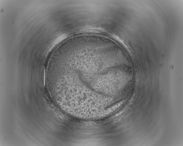 X0000088891219200706291431