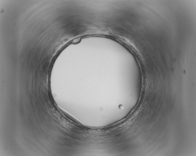 X0000088891220200706291431