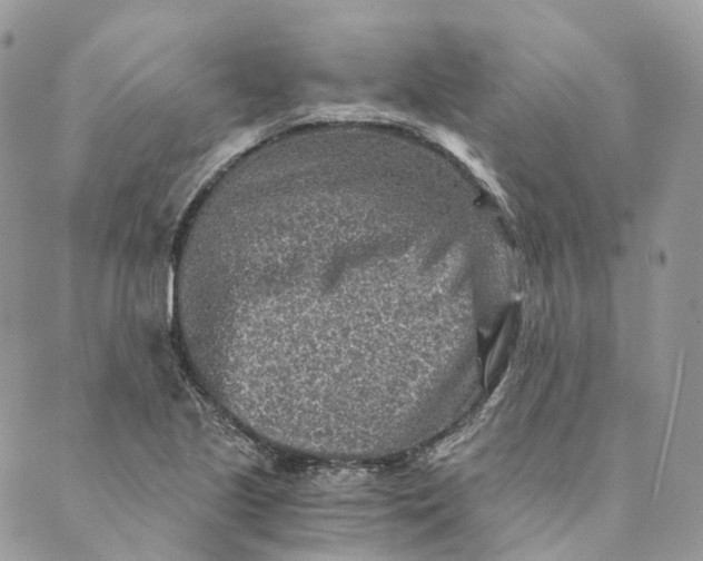 X0000088891221200706291431