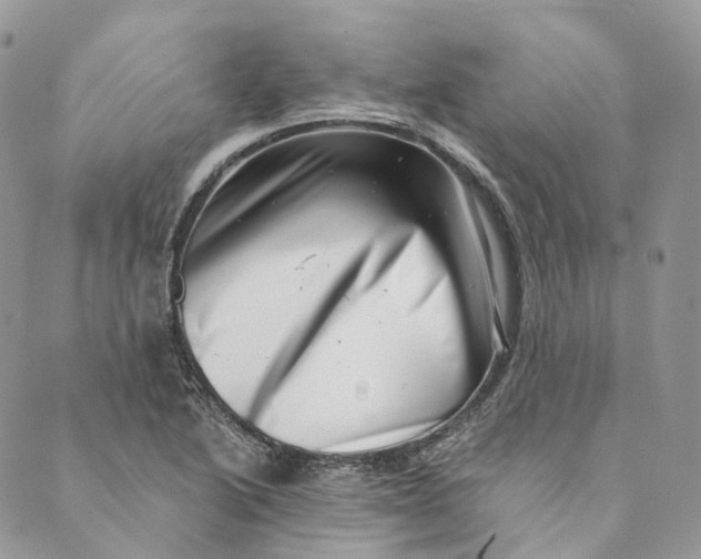 X0000088891222200706291431