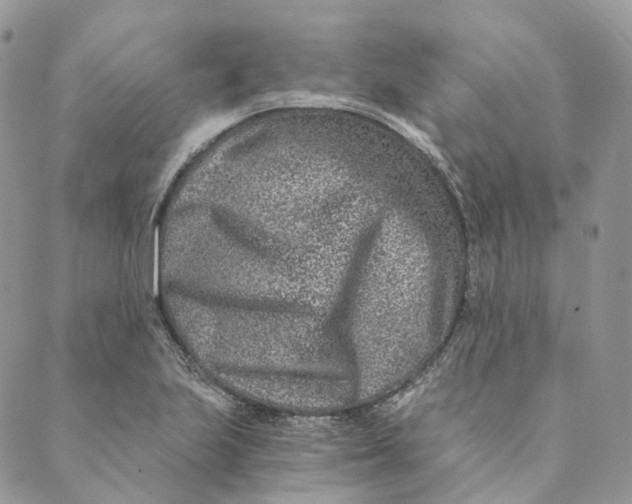 X0000088891223200706291431