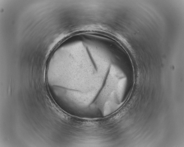 X0000088891224200706291431